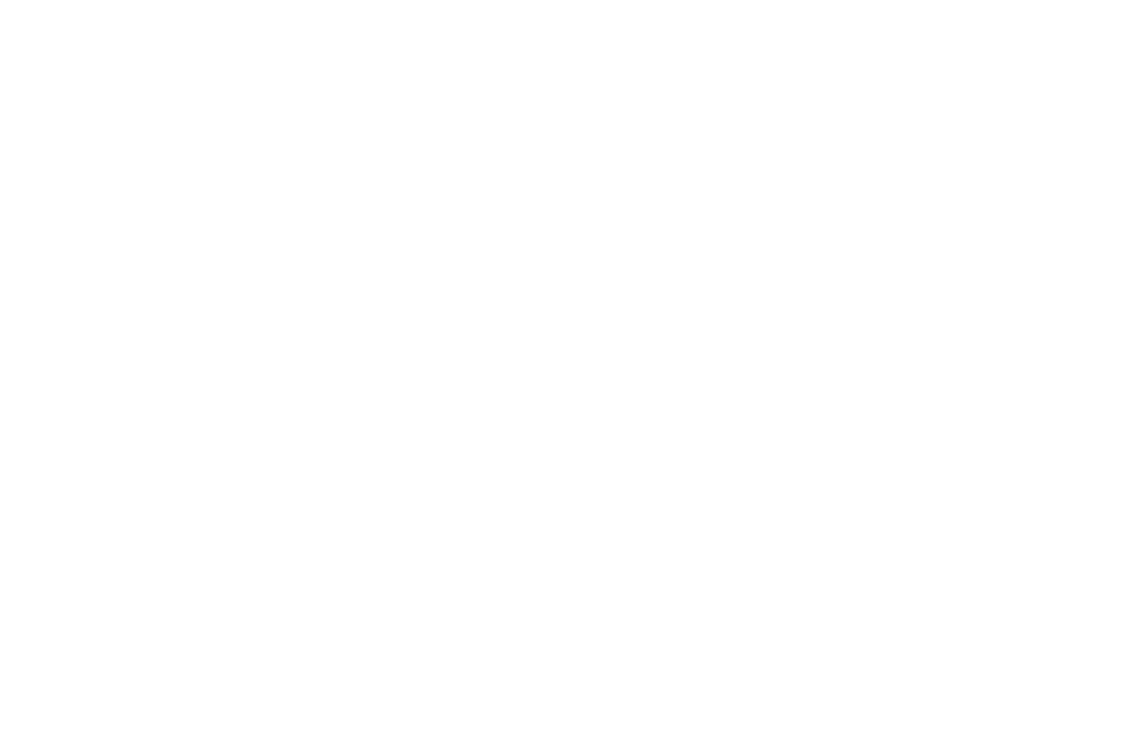 Стул МЯГКИЙ  "Шандон"