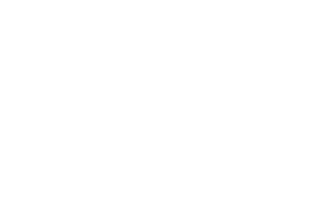 Стул МЯГКИЙ  "Шандон ПЛ"